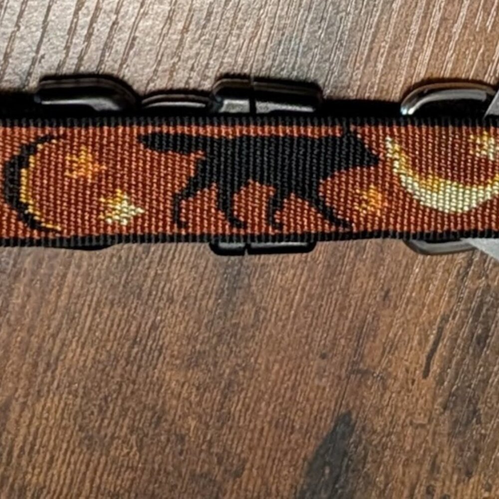 Lupine Pet Dog Collar Shadow Hunter